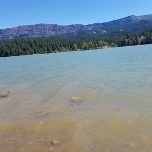 Meet your Posher, Cassandra